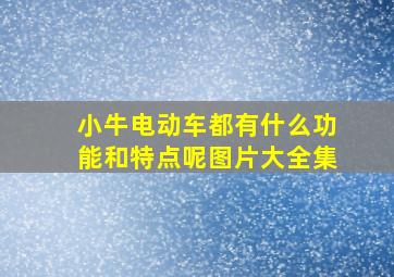 小牛电动车都有什么功能和特点呢图片大全集