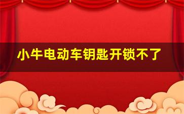 小牛电动车钥匙开锁不了