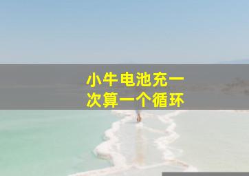 小牛电池充一次算一个循环