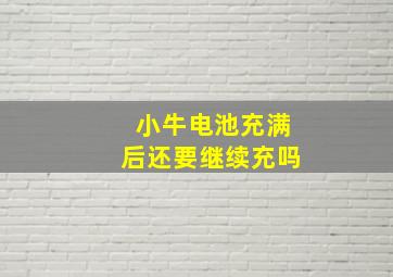 小牛电池充满后还要继续充吗