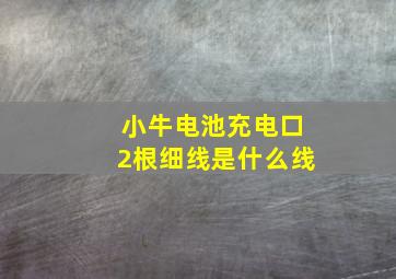 小牛电池充电口2根细线是什么线