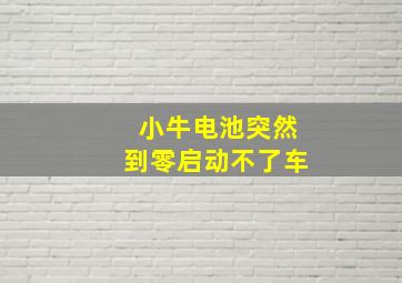 小牛电池突然到零启动不了车