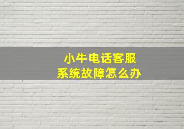 小牛电话客服系统故障怎么办