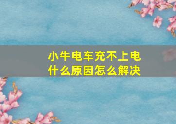 小牛电车充不上电什么原因怎么解决