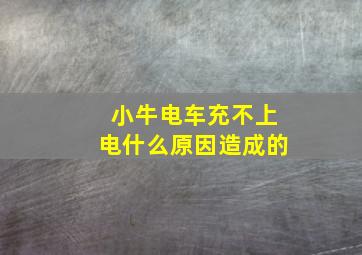 小牛电车充不上电什么原因造成的