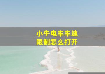 小牛电车车速限制怎么打开