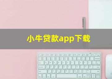 小牛贷款app下载