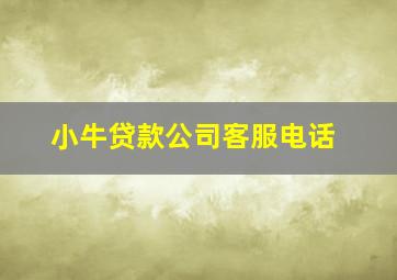 小牛贷款公司客服电话