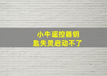 小牛遥控器钥匙失灵启动不了