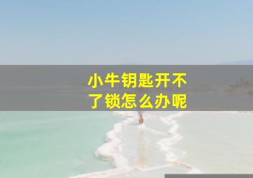 小牛钥匙开不了锁怎么办呢