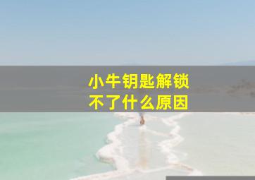 小牛钥匙解锁不了什么原因