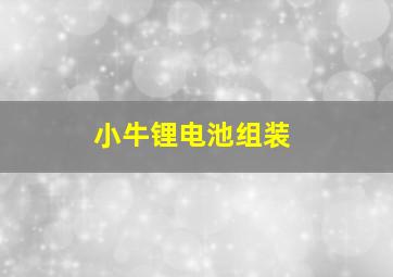 小牛锂电池组装