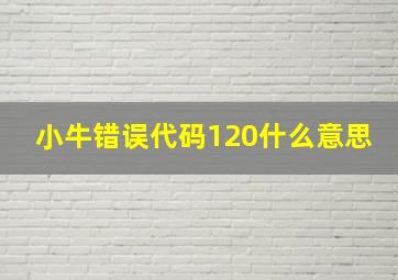 小牛错误代码120什么意思