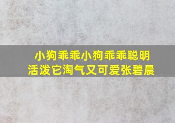 小狗乖乖小狗乖乖聪明活泼它淘气又可爱张碧晨