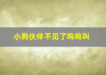 小狗伙伴不见了呜呜叫