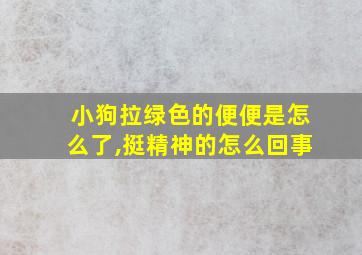 小狗拉绿色的便便是怎么了,挺精神的怎么回事