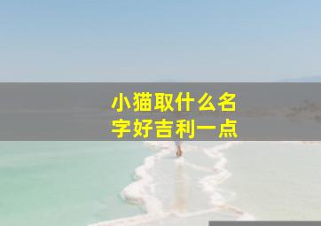 小猫取什么名字好吉利一点