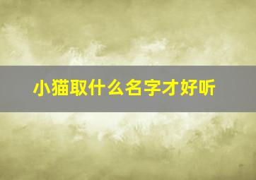 小猫取什么名字才好听