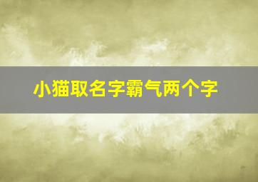 小猫取名字霸气两个字