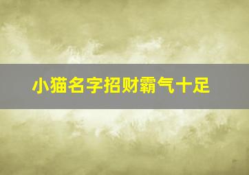 小猫名字招财霸气十足