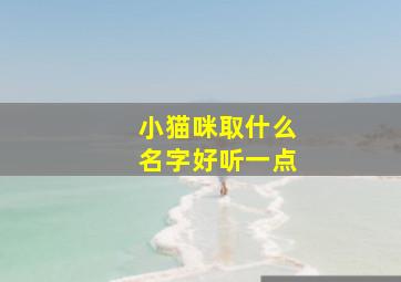 小猫咪取什么名字好听一点