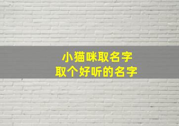 小猫咪取名字取个好听的名字