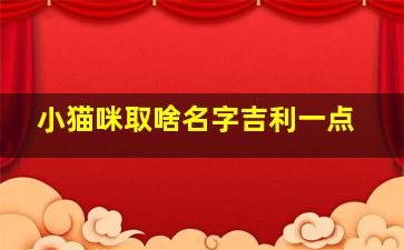 小猫咪取啥名字吉利一点