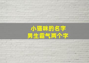 小猫咪的名字男生霸气两个字