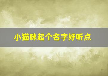 小猫咪起个名字好听点