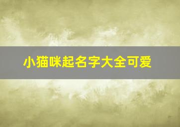 小猫咪起名字大全可爱