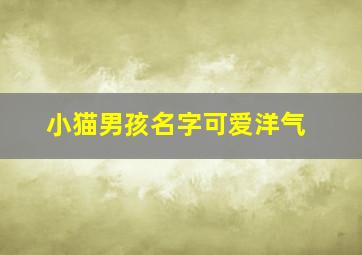 小猫男孩名字可爱洋气