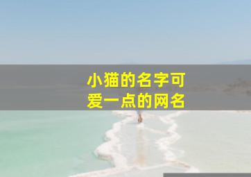 小猫的名字可爱一点的网名