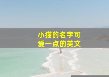 小猫的名字可爱一点的英文