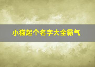 小猫起个名字大全霸气