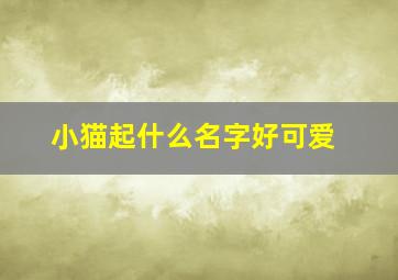 小猫起什么名字好可爱