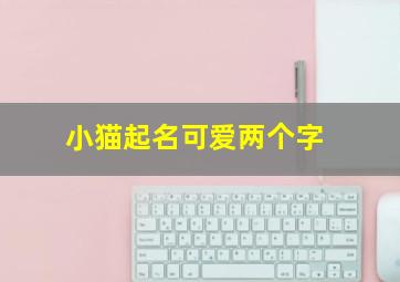 小猫起名可爱两个字