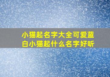 小猫起名字大全可爱蓝白小猫起什么名字好听