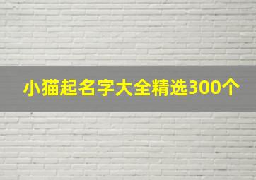 小猫起名字大全精选300个