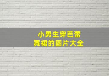 小男生穿芭蕾舞裙的图片大全