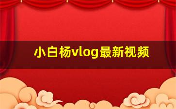 小白杨vlog最新视频