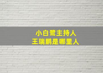 小白鹭主持人王瑞鹏是哪里人