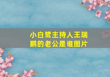 小白鹭主持人王瑞鹏的老公是谁图片