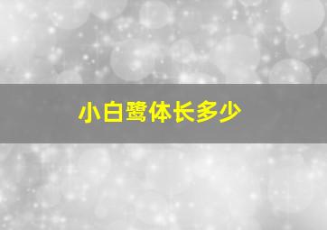 小白鹭体长多少