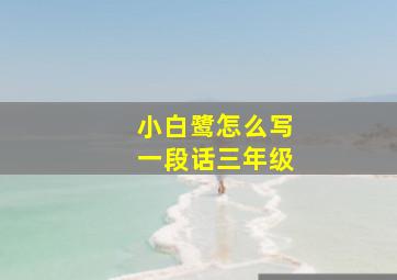 小白鹭怎么写一段话三年级