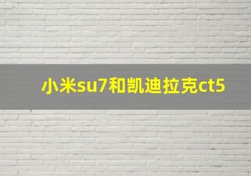 小米su7和凯迪拉克ct5