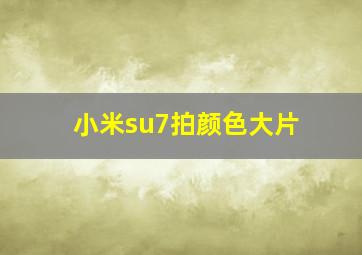 小米su7拍颜色大片