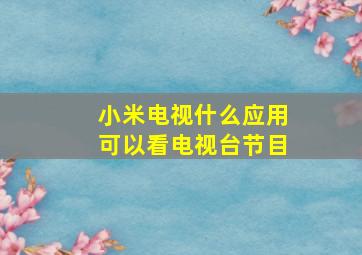 小米电视什么应用可以看电视台节目