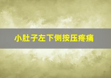 小肚子左下侧按压疼痛