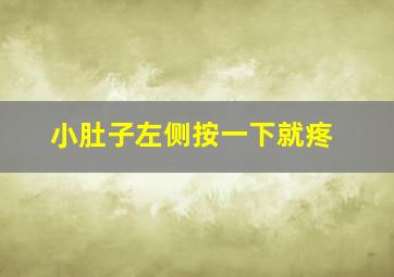 小肚子左侧按一下就疼