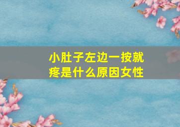 小肚子左边一按就疼是什么原因女性